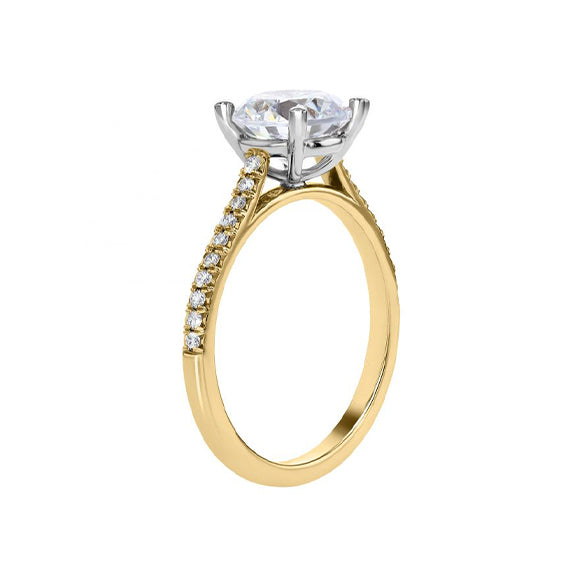 Ring image 8